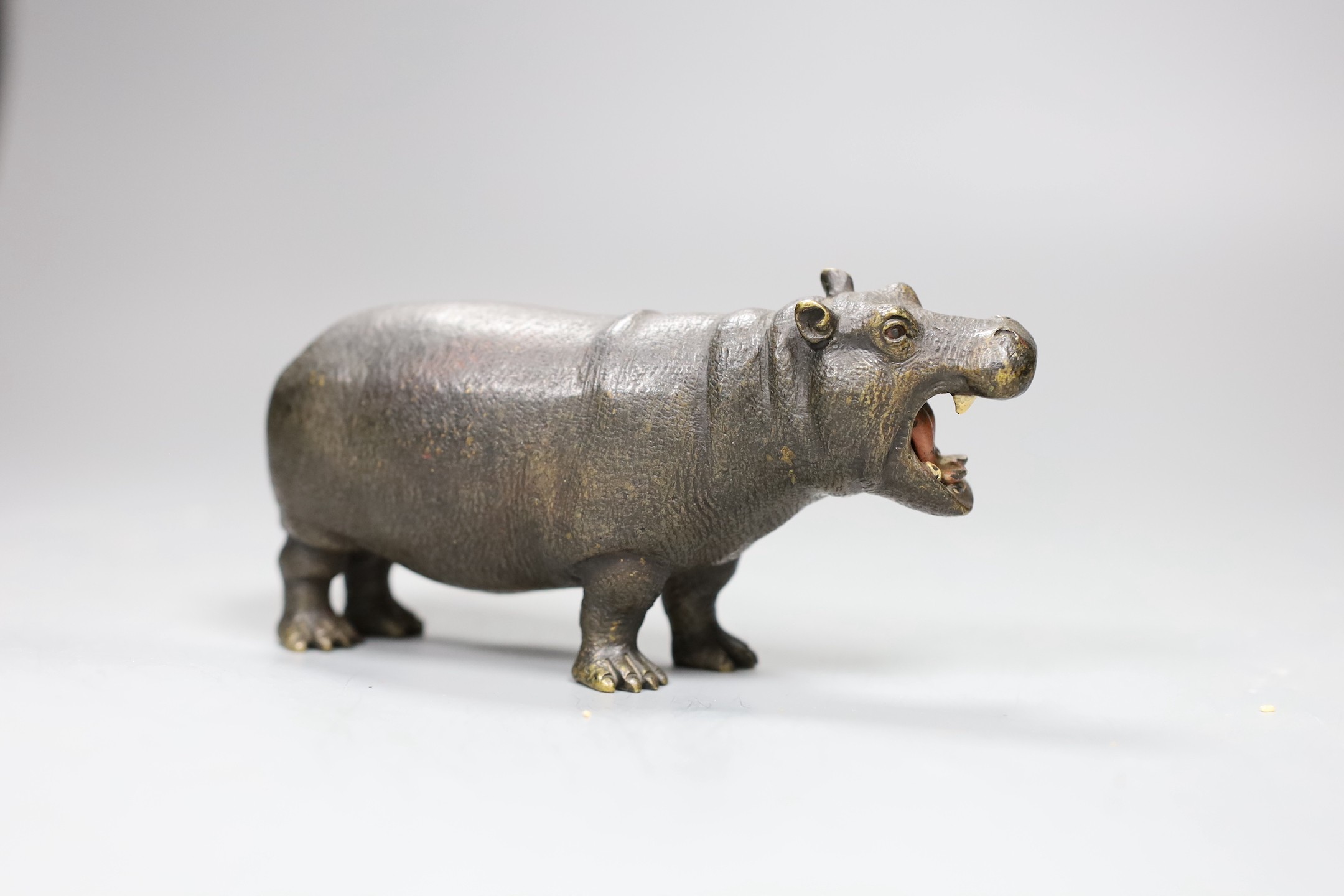 A Viennese cold painted bronze figure of a hippopotamus, 16cm long